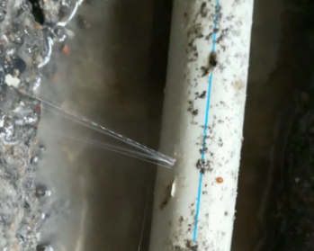 扶沟卫生间测漏水多少钱