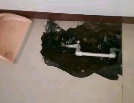 扶沟卫生间测漏水多少钱